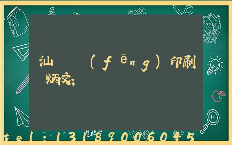 汕頭東風(fēng)印刷黃炳文