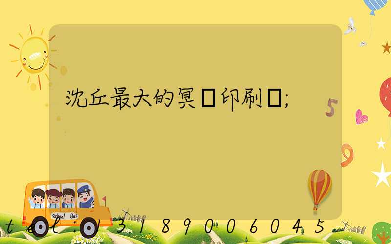 沈丘最大的冥幣印刷廠